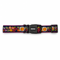 Gulzaar Dog Collar