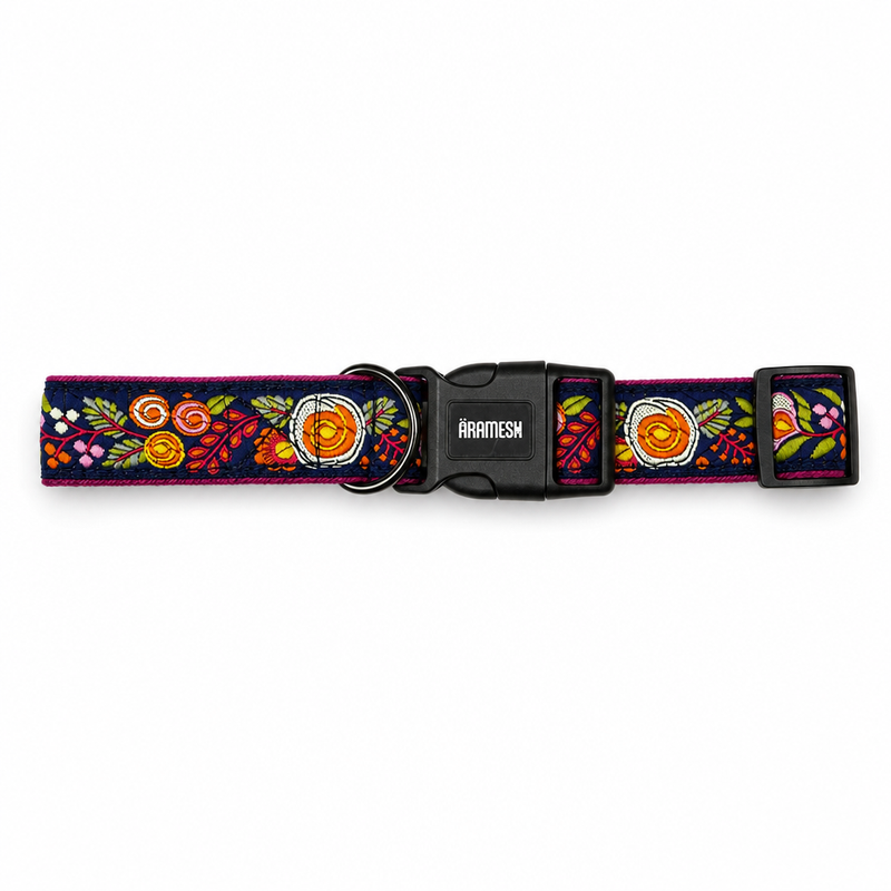 Gulzaar Dog Collar