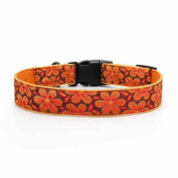 Mehfil Festive Dog Collar