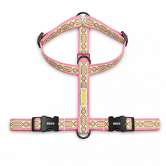Meet Cute Body Belt