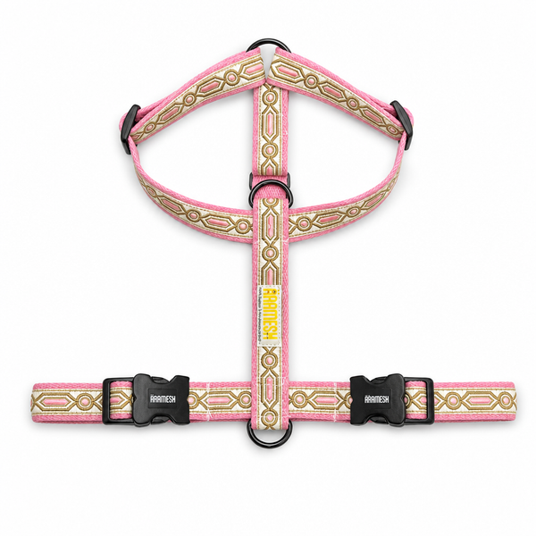 Meet Cute Body Belt