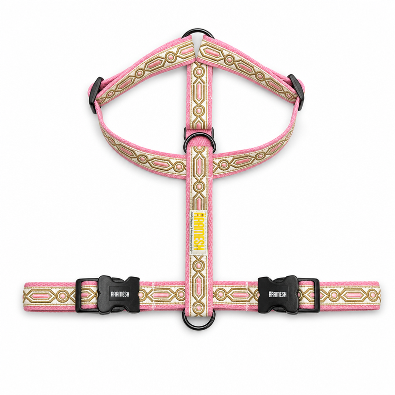 Meet Cute Body Belt