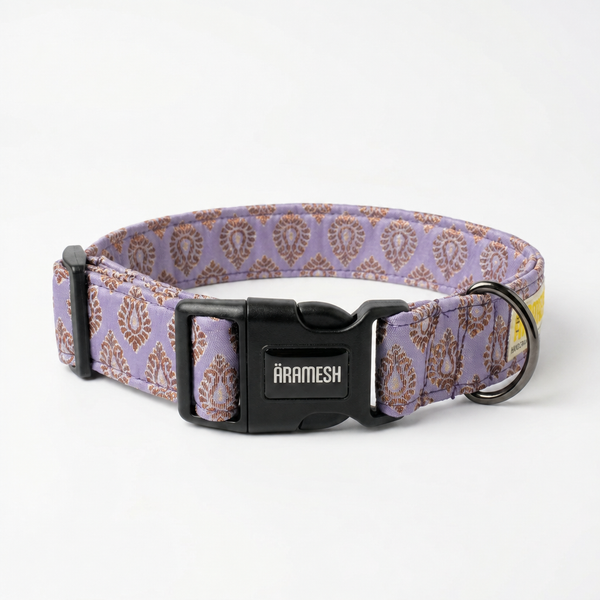 Royal Haze Festive Dog Collar