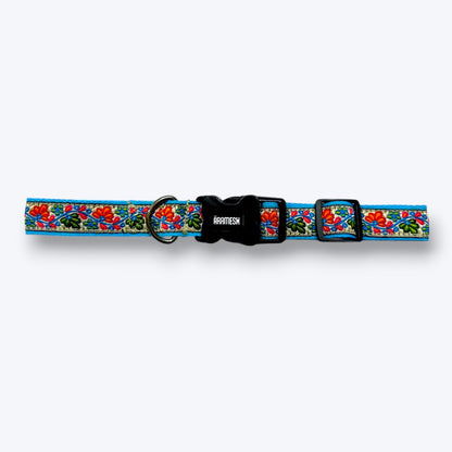 Floral Skies Dog Collar