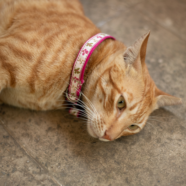 Garden Whisper Cat Collar