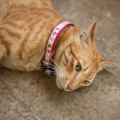 Garden Whisper Cat Collar & Leash Set