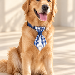 Boss Dog Ties