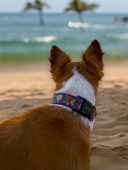 Coastal Bloom Dog Collar