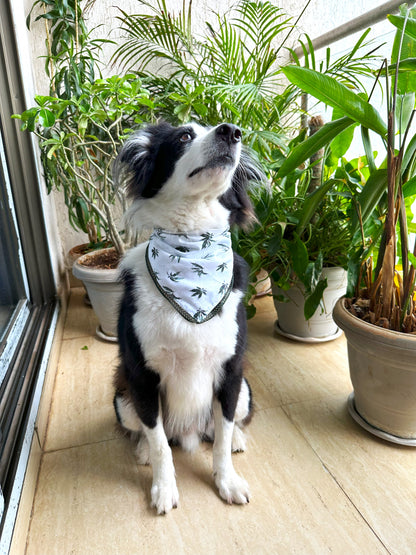 Hempy Hues Dog Bandana