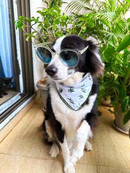 Hempy Hues Dog Bandana