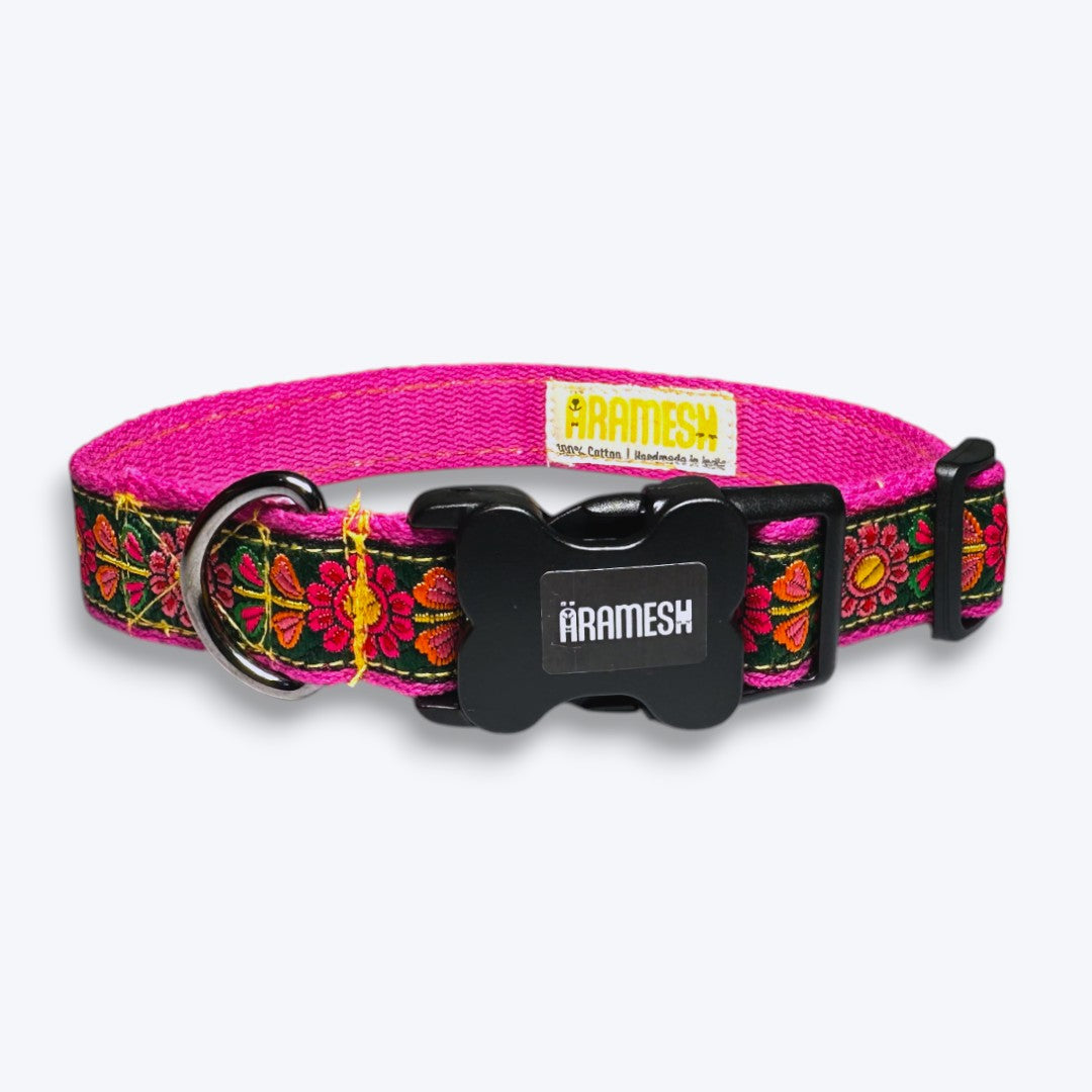 Emerald Glow Dog Collar & Leash