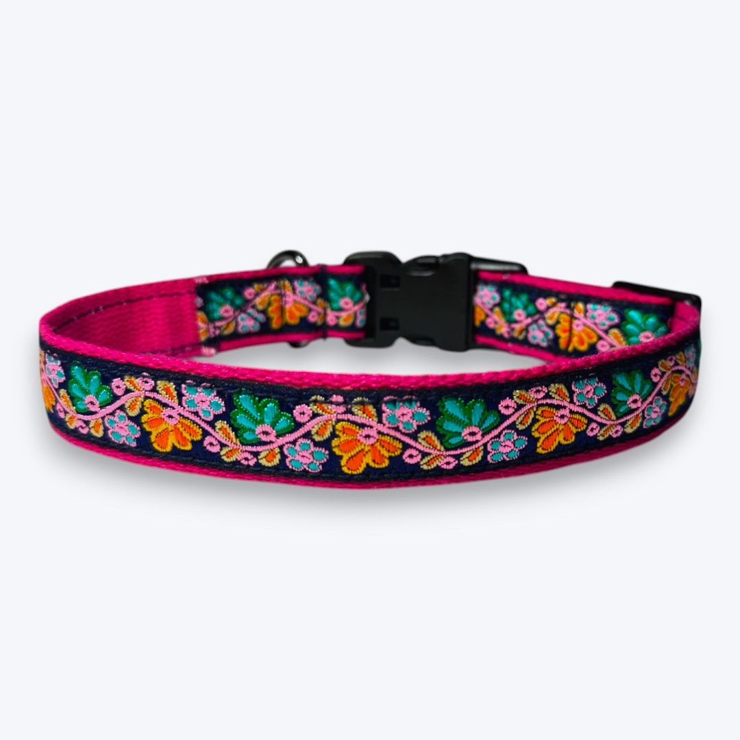 Electric Bloom Dog Collar & Leash