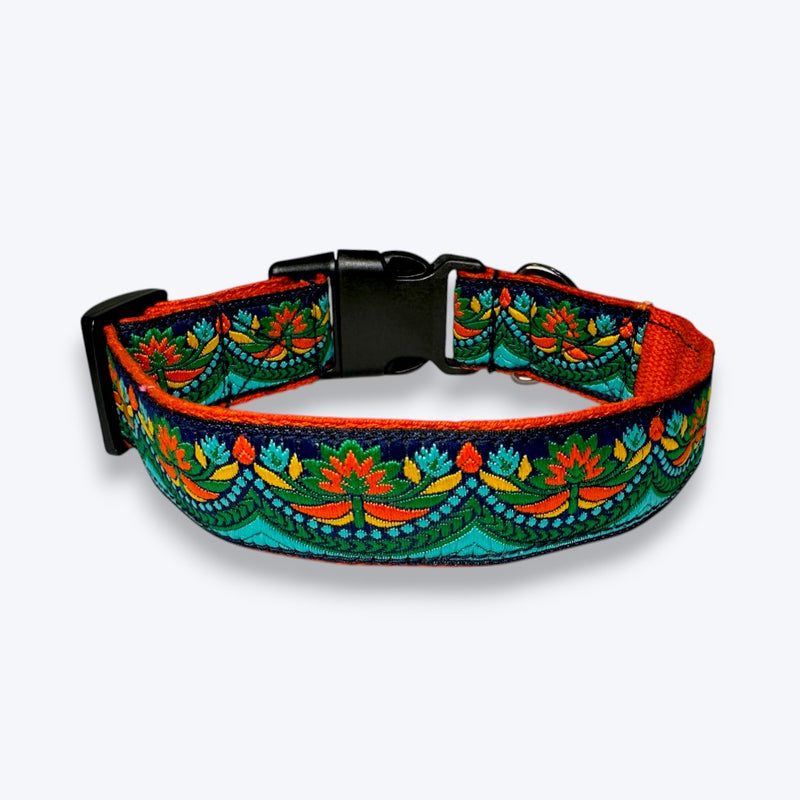 Fire & Ice Dog Collar