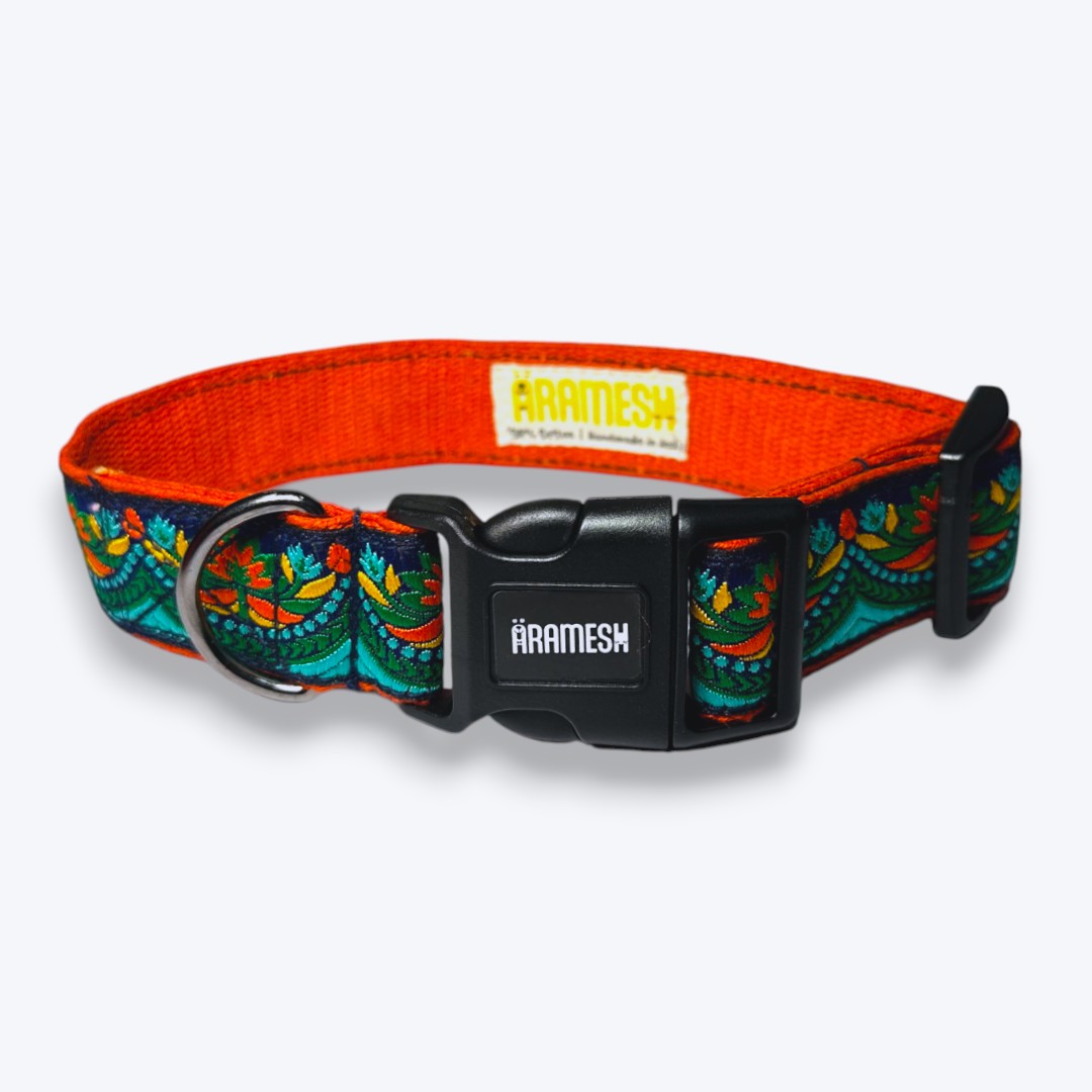 Fire & Ice Dog Collar