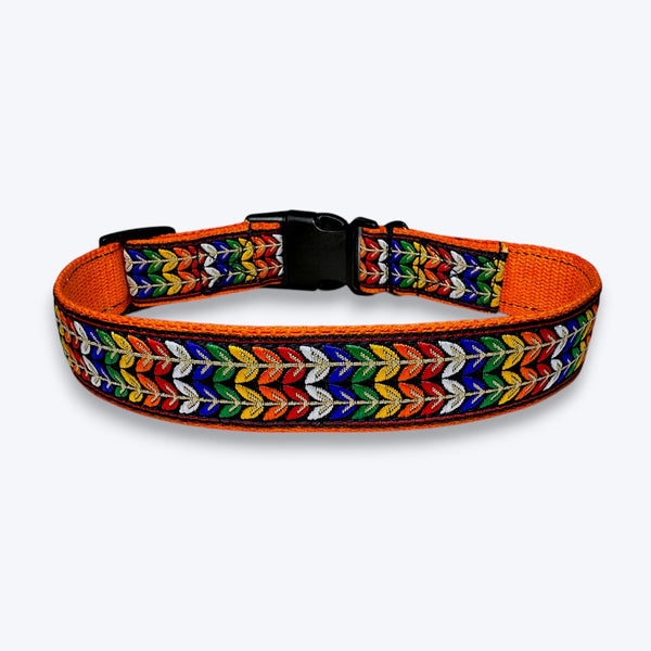 Colourful Trails Dog Collar