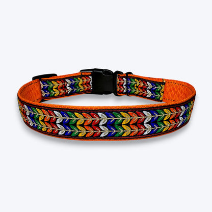 Colourful Trails Dog Collar & Leash