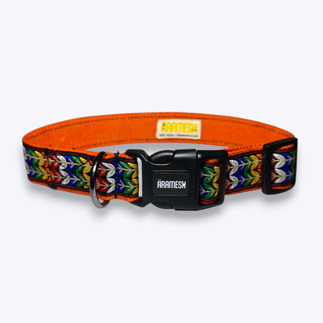 Colourful Trails Dog Collar & Leash
