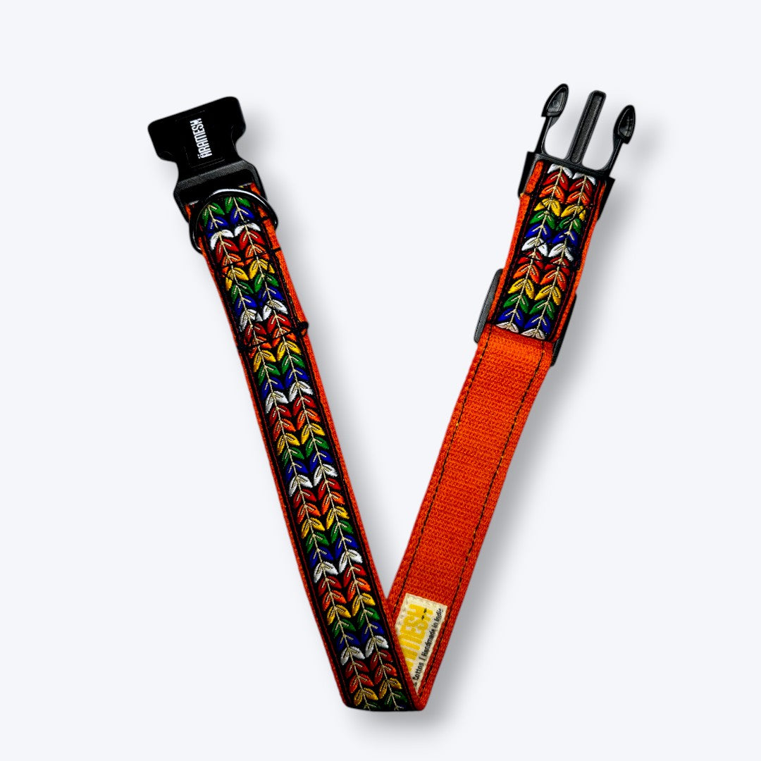 Colourful Trails Dog Collar & Leash