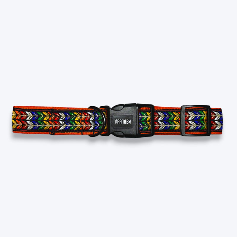 Colourful Trails Dog Collar