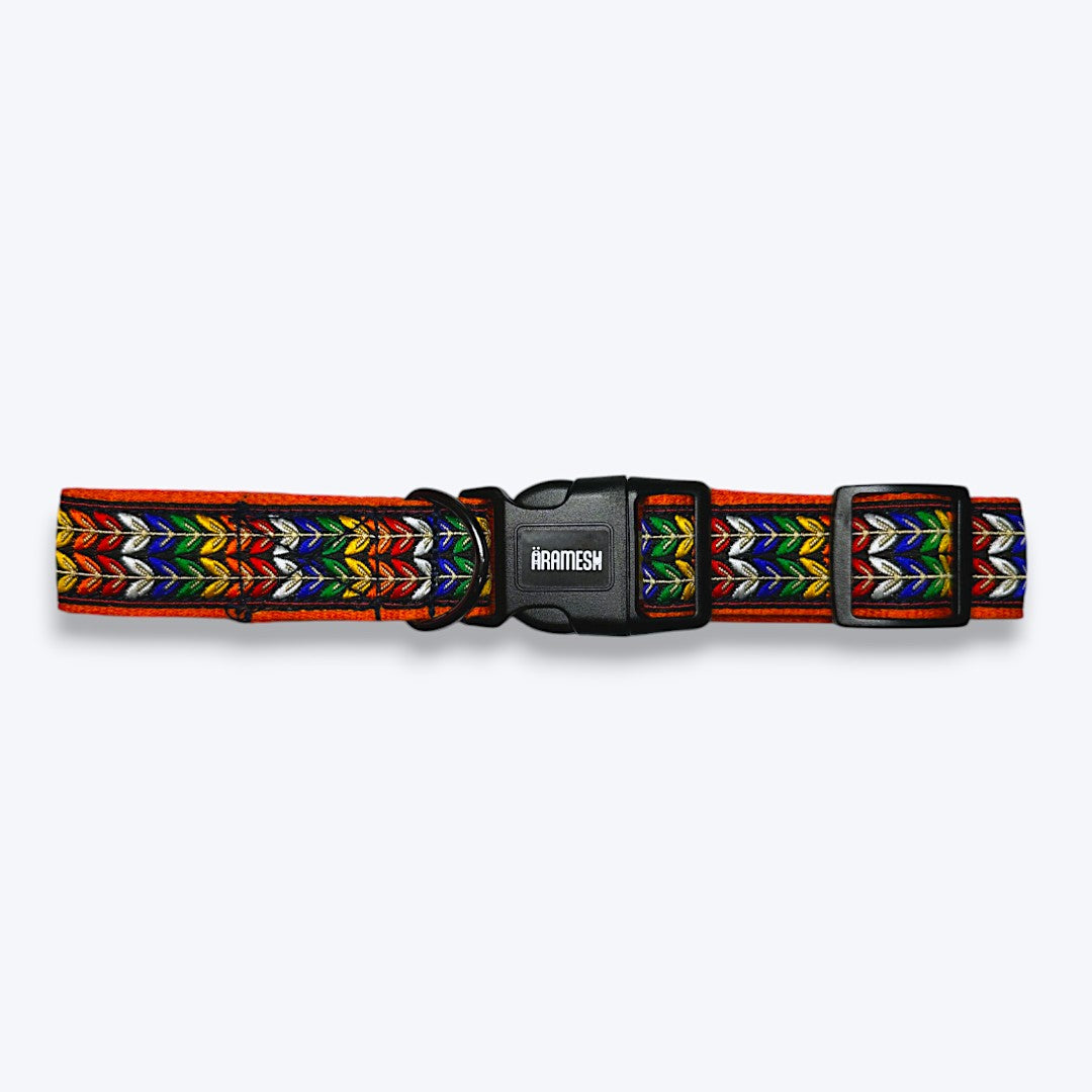 Colourful Trails Dog Collar & Leash