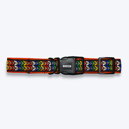 Colourful Trails Dog Collar & Leash
