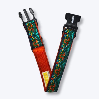 Fire & Ice Dog Collar