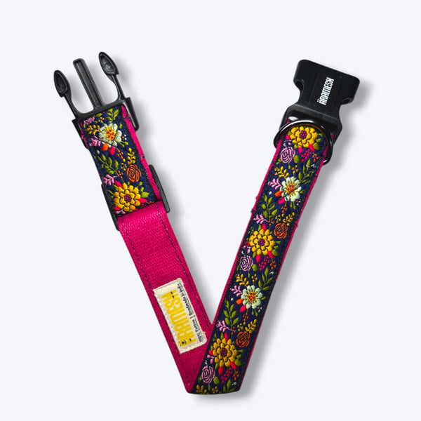 Coastal Bloom Dog Collar