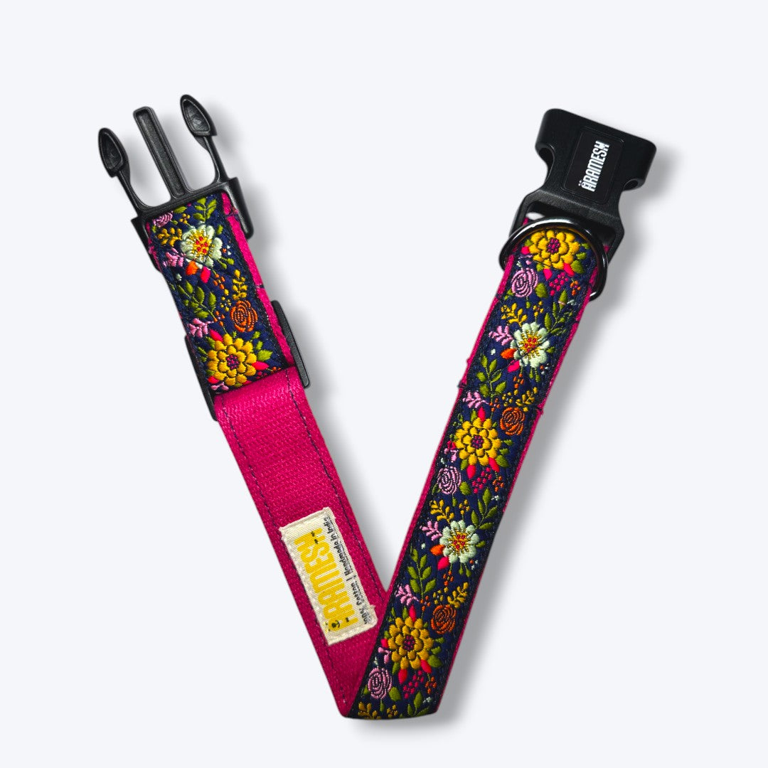 Coastal Bloom Dog Collar