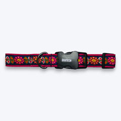 Sunflower Mist Dog Collar