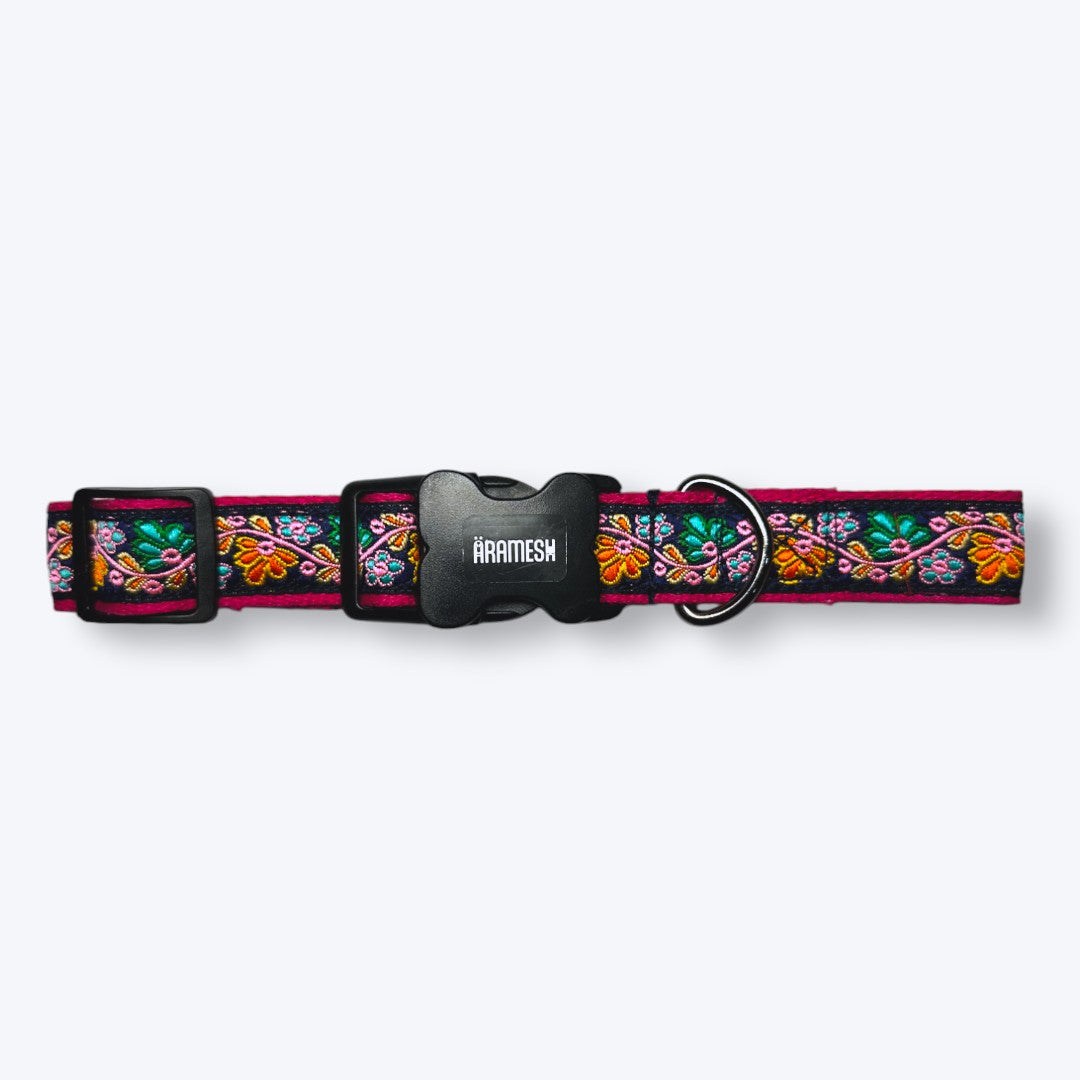 Electric Bloom Dog Collar & Leash