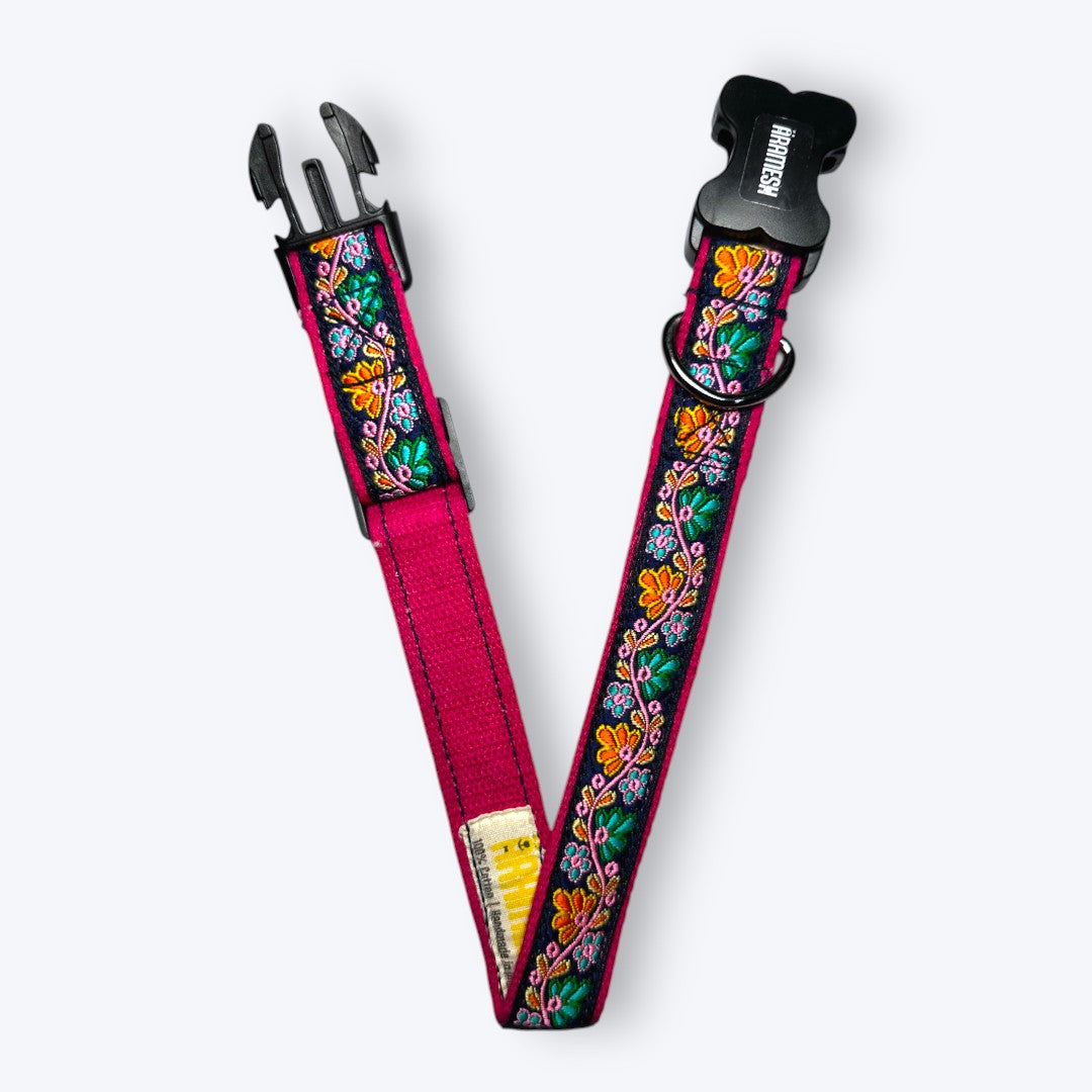 Electric Bloom Dog Collar & Leash