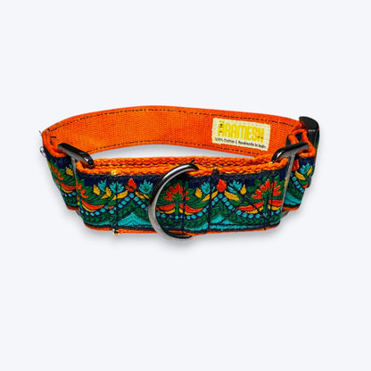 Martingale Dog Collar: Fire & Ice