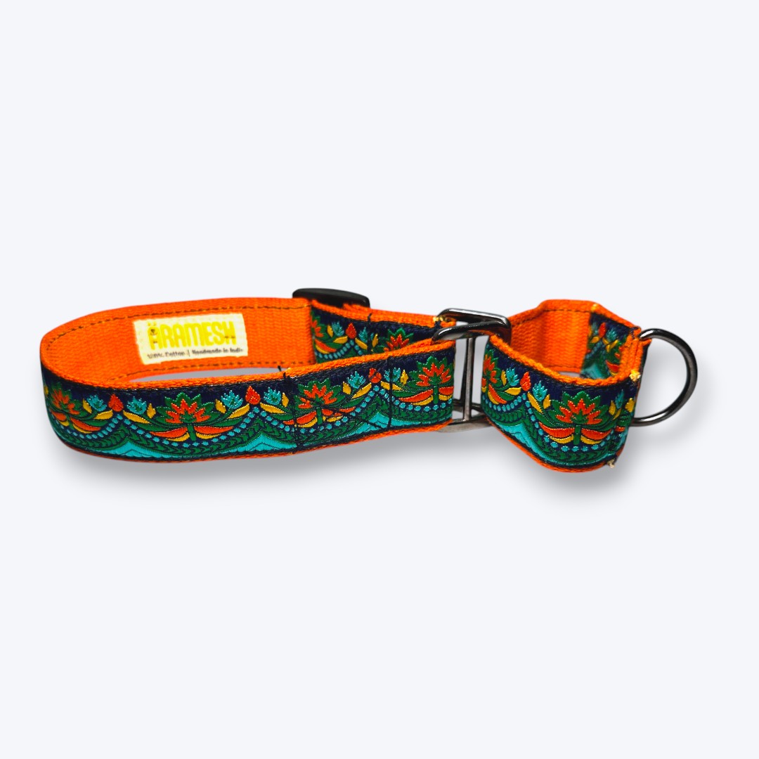 Martingale Dog Collar: Fire & Ice