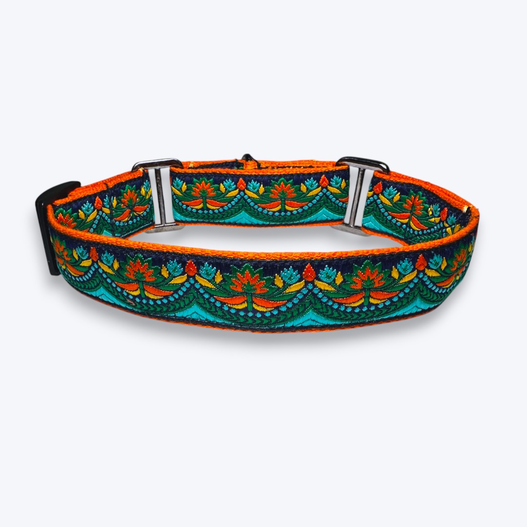 Martingale Dog Collar: Fire & Ice