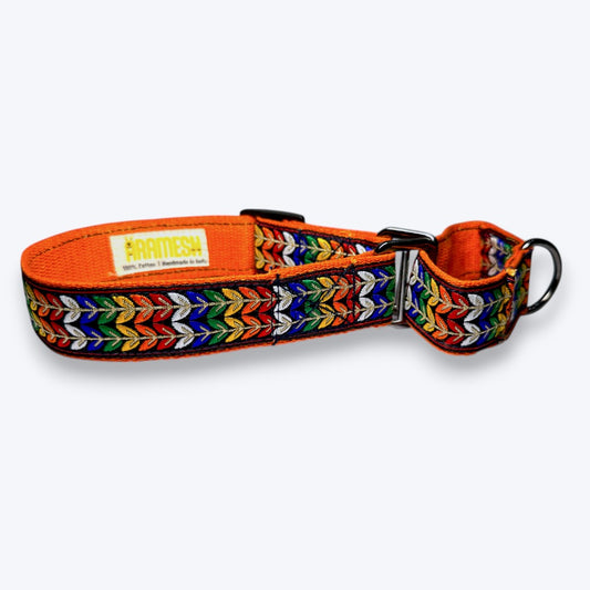 Martingale Dog Collar: Colourful Trails
