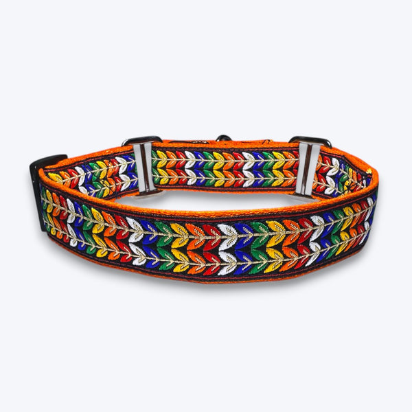 Martingale Dog Collar: Colourful Trails