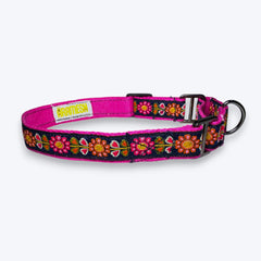 Martingale Dog Collar: Sunflower Mist