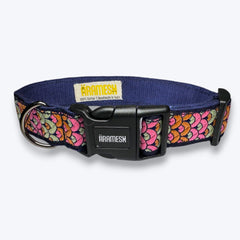 Sunset Glow Dog Collar