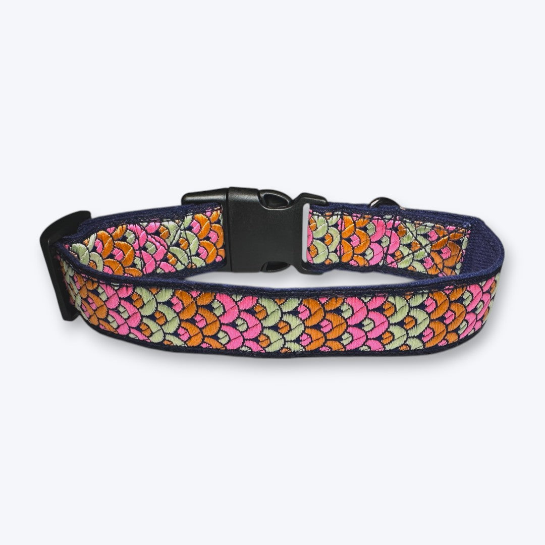 Sunset Glow Dog Collar
