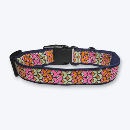 Sunset Glow Dog Collar