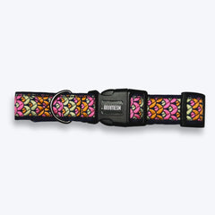 Sunset Glow Dog Collar