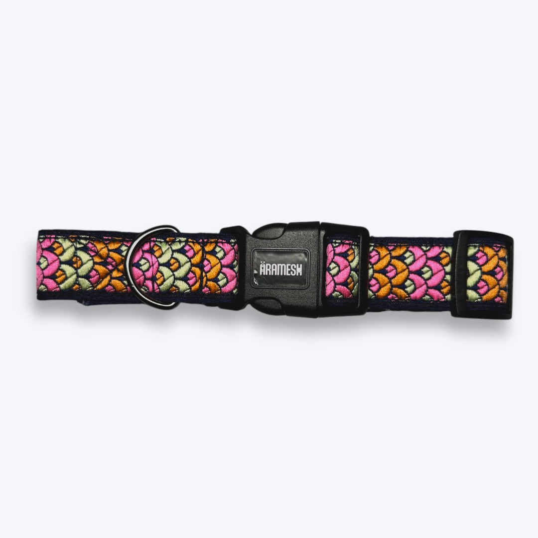 Sunset Glow Dog Collar