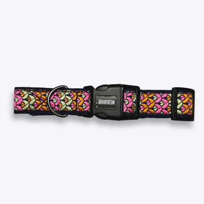 Sunset Glow Dog Collar