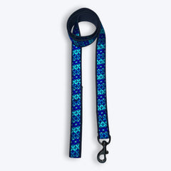 Skywave Dog Collar & Leash