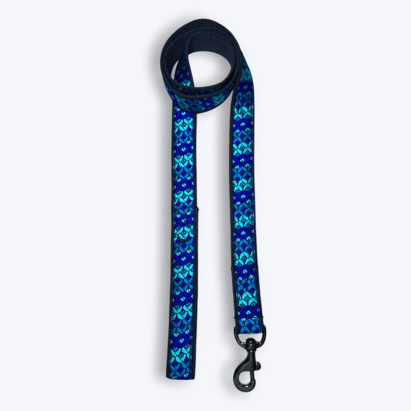 Skywave Dog Collar & Leash