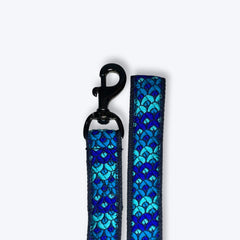 Skywave Dog Collar & Leash