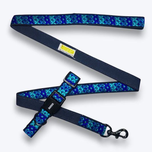 Skywave Dog Collar & Leash