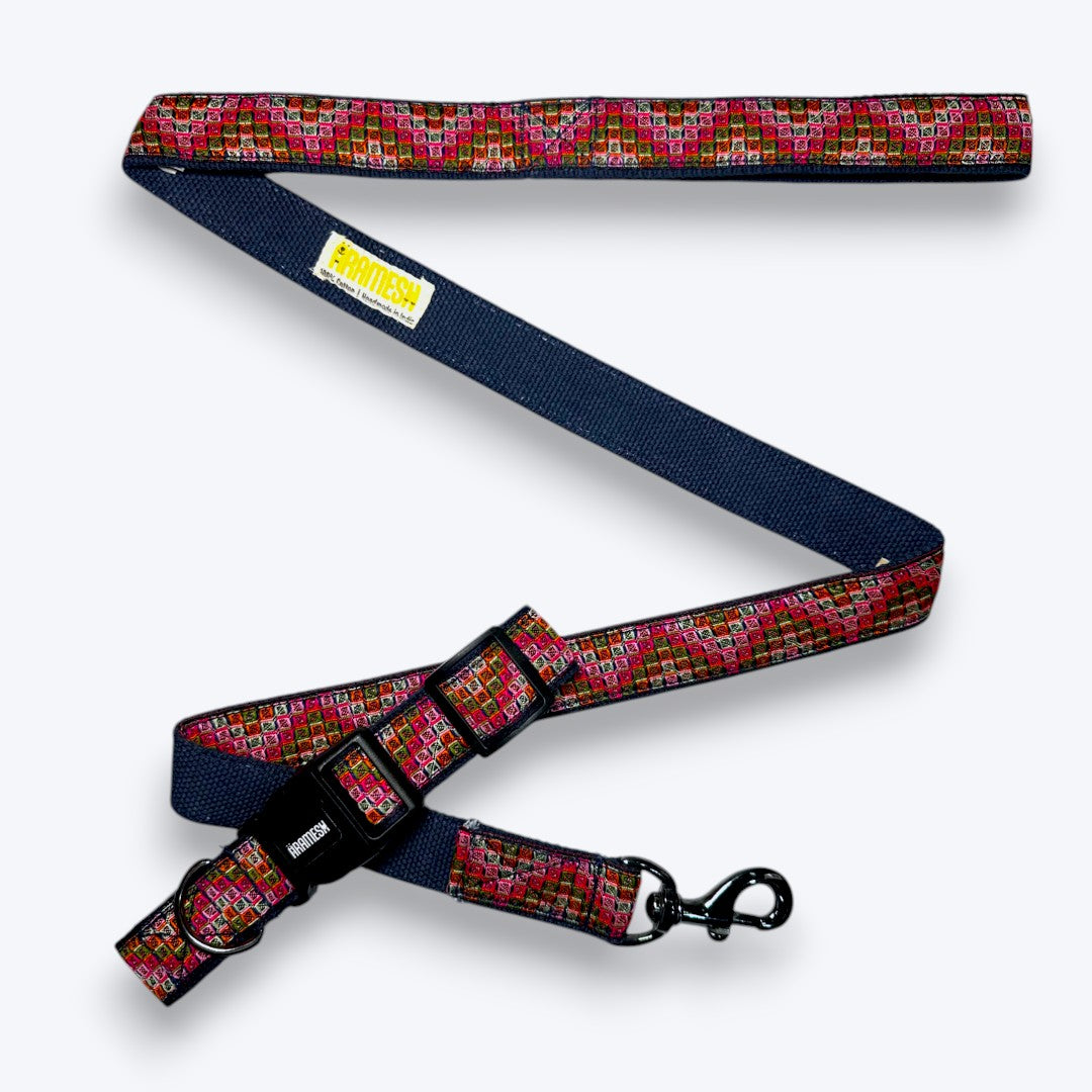 Checkmate Dog Collar & Leash