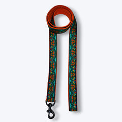 Fire & Ice Dog Collar & Leash