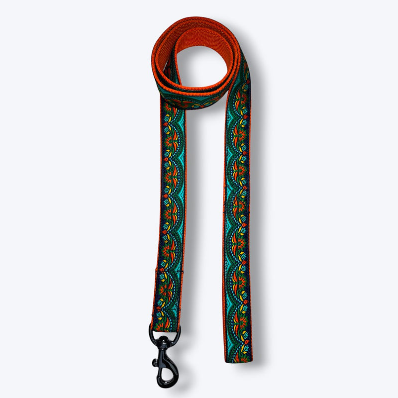 Fire & Ice Dog Collar & Leash